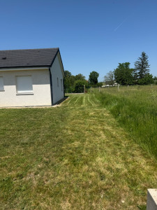 Photo de galerie - Tonte de pelouse - Débroussaillage