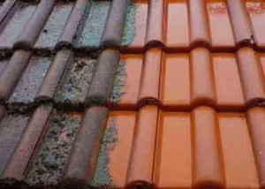 Photo de galerie -  	•	« Réalisation d’un nettoyage complet de toiture, éliminant mousses, saletés et dépôts. Ce travail a permis de préserver l’intégrité de la couverture et de redonner à la maison son aspect d’origine. 