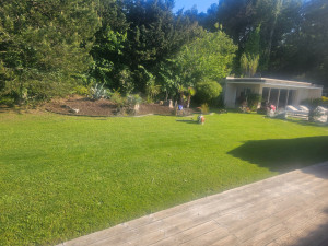 Photo de galerie - Pelouse et création de masif 