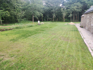 Photo de galerie - Débroussaillage 