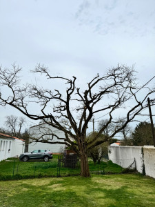 Photo de galerie - Après