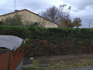 Photo de galerie - Paysagiste - Aménagement du jardin