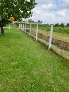 Photo de galerie - Entretien de terrain