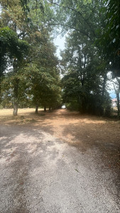 Photo de galerie - Remise en état 