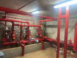 Photo de galerie - Local source 