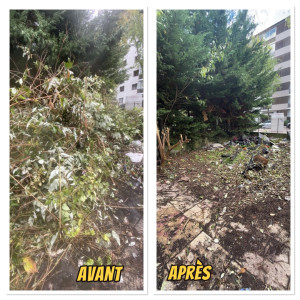 Photo de galerie - Évacuation de déchets verts