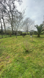 Photo de galerie - Première tonte