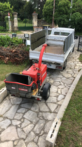 Photo de galerie - Elagage et coupe d'arbres