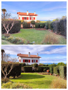 Photo de galerie - Taille des haies 