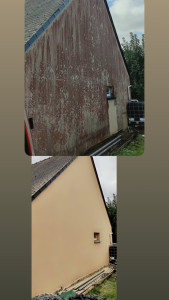 Photo de galerie - Traitement de champignons rouge avent après 