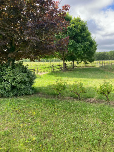 Photo de galerie - Administratif, démarches, recherche 