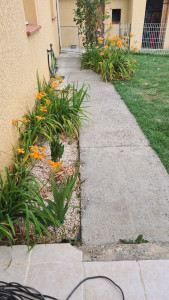 Photo de galerie - Désherbage 