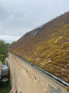 Photo de galerie - Démoussage avant 