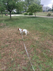 Photo de galerie - Découverte des environs pour miya