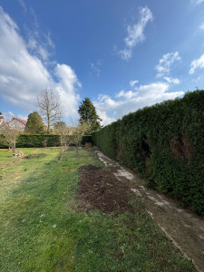 Photo de galerie - Taille de haie 