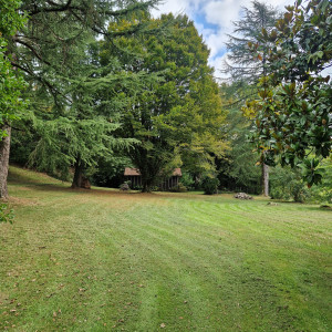 Photo de galerie - Tonte de pelouse