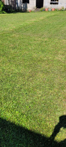 Photo de galerie - Tonte de pelouse - Débroussaillage