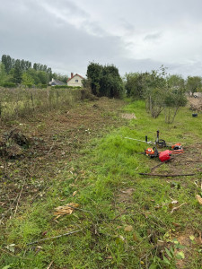 Photo de galerie - Après débroussaillage 