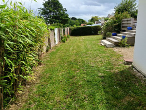 Photo de galerie - Tonte de pelouse 