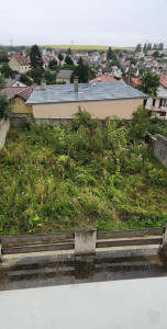 Photo de galerie - Debroussaillage 