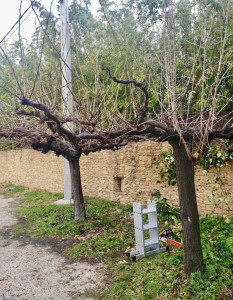 Photo de galerie - Jardinier