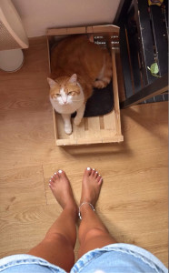 Photo de galerie - Cat sitter