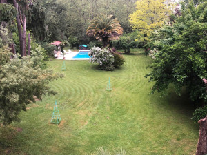 Photo de galerie - Tonte grand jardin