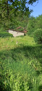 Photo de galerie - Terrain avant intervention 