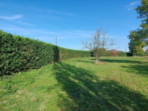 Photo de galerie - Taille de haie - 215 m