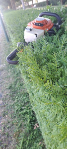 Photo de galerie - Taille haie 