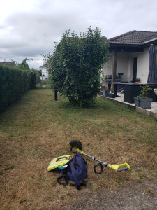 Photo de galerie - Passage du rotofil sur herbes mi-hautes