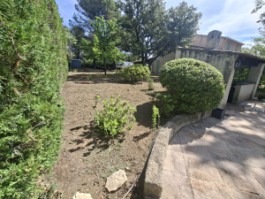 Photo de galerie - Taille de haies et d'arbustes