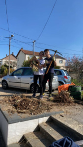 Photo de galerie - Tonte de pelouse - Débroussaillage