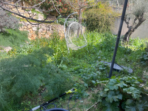 Photo de galerie - Avant