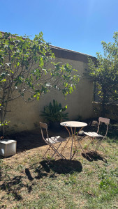 Photo de galerie - Elagage et coupe d'arbres