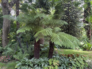 Photo de galerie - Paysagiste - Aménagement du jardin