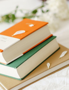 Photo de galerie - - Réalisation des devoirs
-Apprentissage des cours 
- Reflexions autours des thêmes abordés.