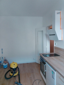 Photo de galerie - Restauration d'un salon, peinture plafond,murs, boiserie 