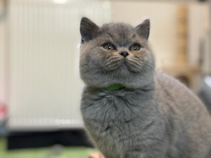 Photo de galerie - Voici ULYSSE