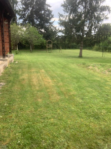 Photo de galerie - Tonte de pelouse - Débroussaillage