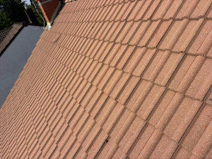 Photo de galerie - Couverture - Toiture