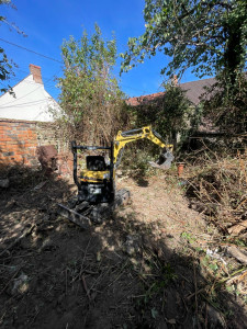 Photo de galerie - 250 m2 de ronces  et d’arbres 