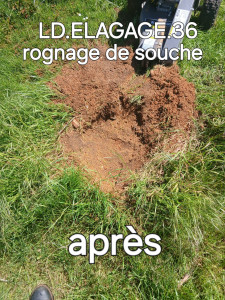 Photo de galerie - Elagage et coupe d'arbres