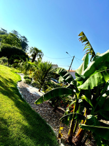 Photo de galerie - Paysagiste - Aménagement du jardin