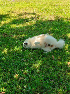 Photo de galerie - Garde de 13 jours 