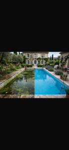 Photo de galerie - Nettoyage complet piscine - Avant eau verte avec algues, après eau cristalline bleue - Nettoyage fond et traitement eau - Intervention Nancy et 30km