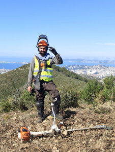 Photo de galerie - Je propose mes services pour la tonte de pelouse et débroussaillage. 
Je suis sérieux, équipé et efficace. 
Travail propre et rapide. 
Disponible à Brignoles et alentours. 
N’hésitez pas à me contacter.