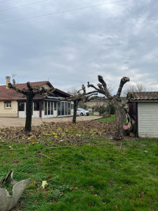 Photo de galerie - Taille terminé 