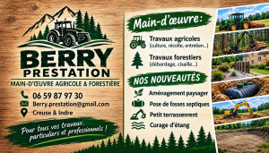 Photo de galerie - Aménagement et entretien paysager 