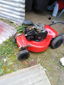 Photo de galerie - Jardinage 